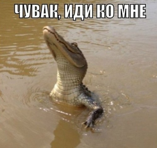MBS0bvHnax8