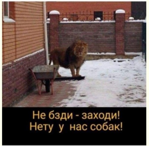 20200819 200429