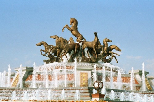 image (6)