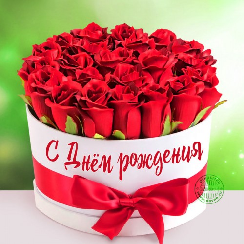 birthday-1143ac7547fdccbcb3d1.jpg