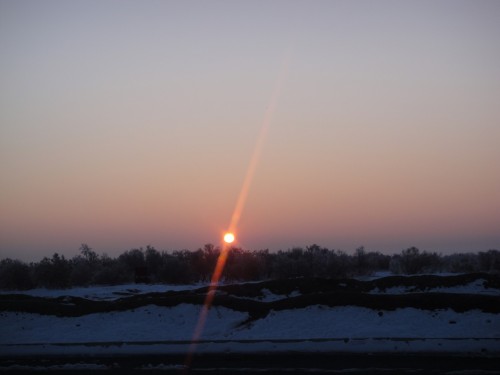 DSC00173-179ad82a0d2af0fb7.jpg